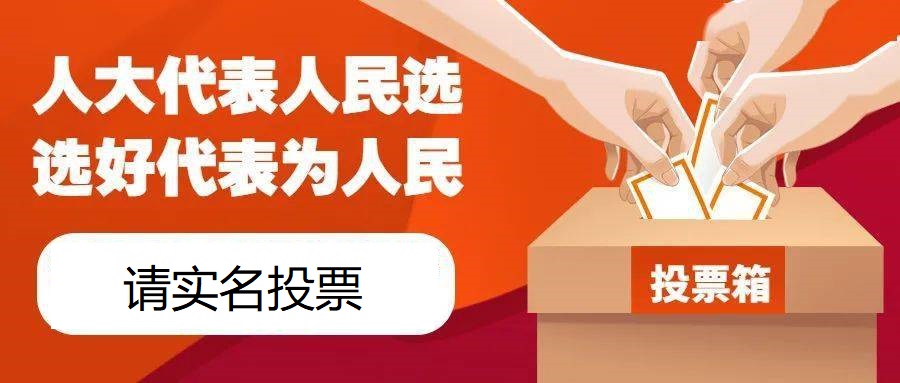 人大代表评选活动